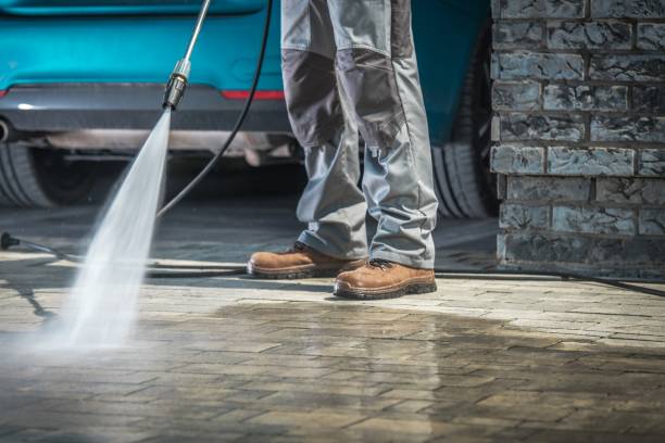 Best Gutter Cleaning  in Pasadena Hills, MO